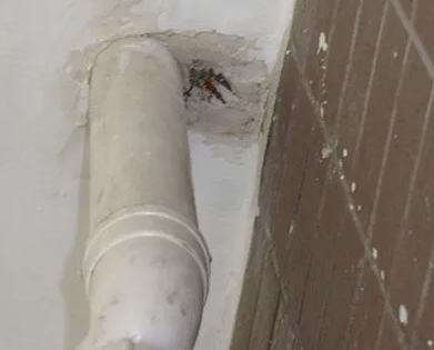 新津漏水检测哪家好